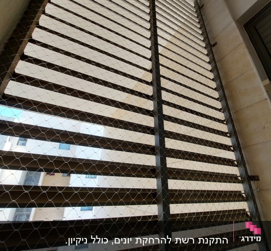 רשת מתכת מותקנת על חלון למניעת כניסת יונים